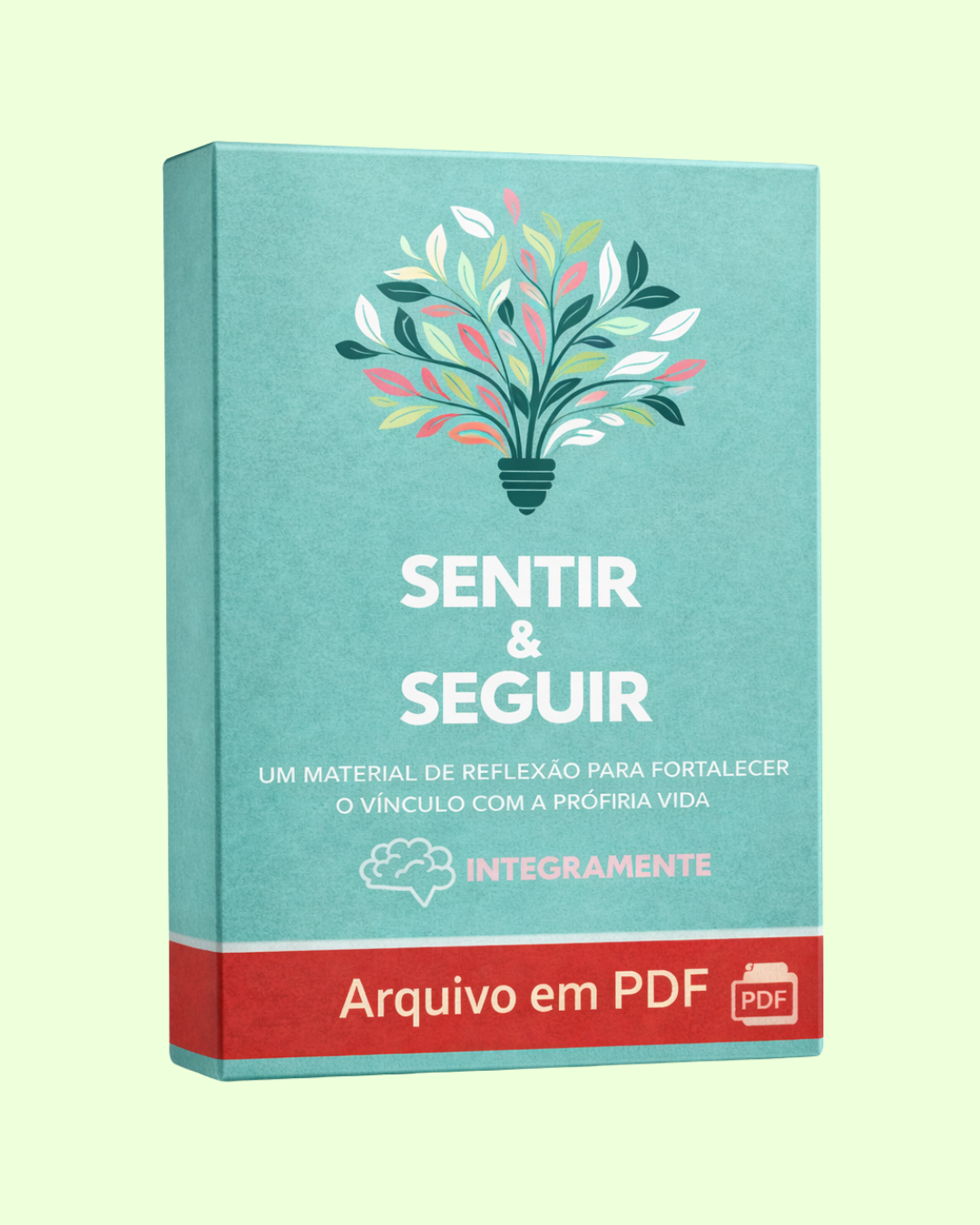 Sentir & Seguir
